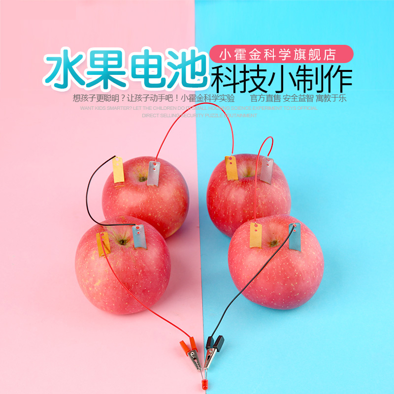 水果电池实验材料科学土豆发电