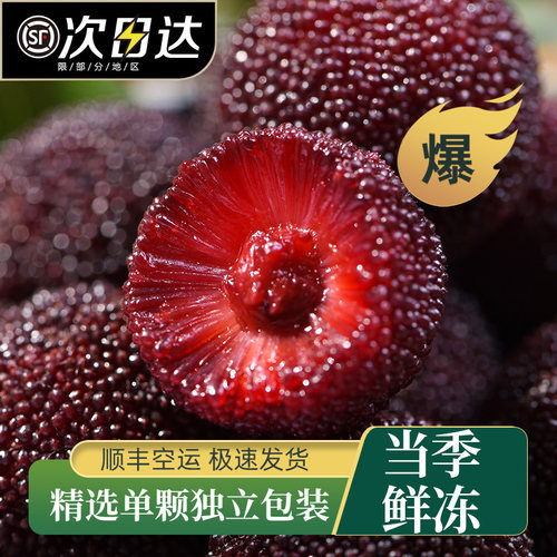 顺丰空运0添加冰杨梅兰溪东魁杨梅新鲜冷冻速冻泡酒冰镇孕妇水果