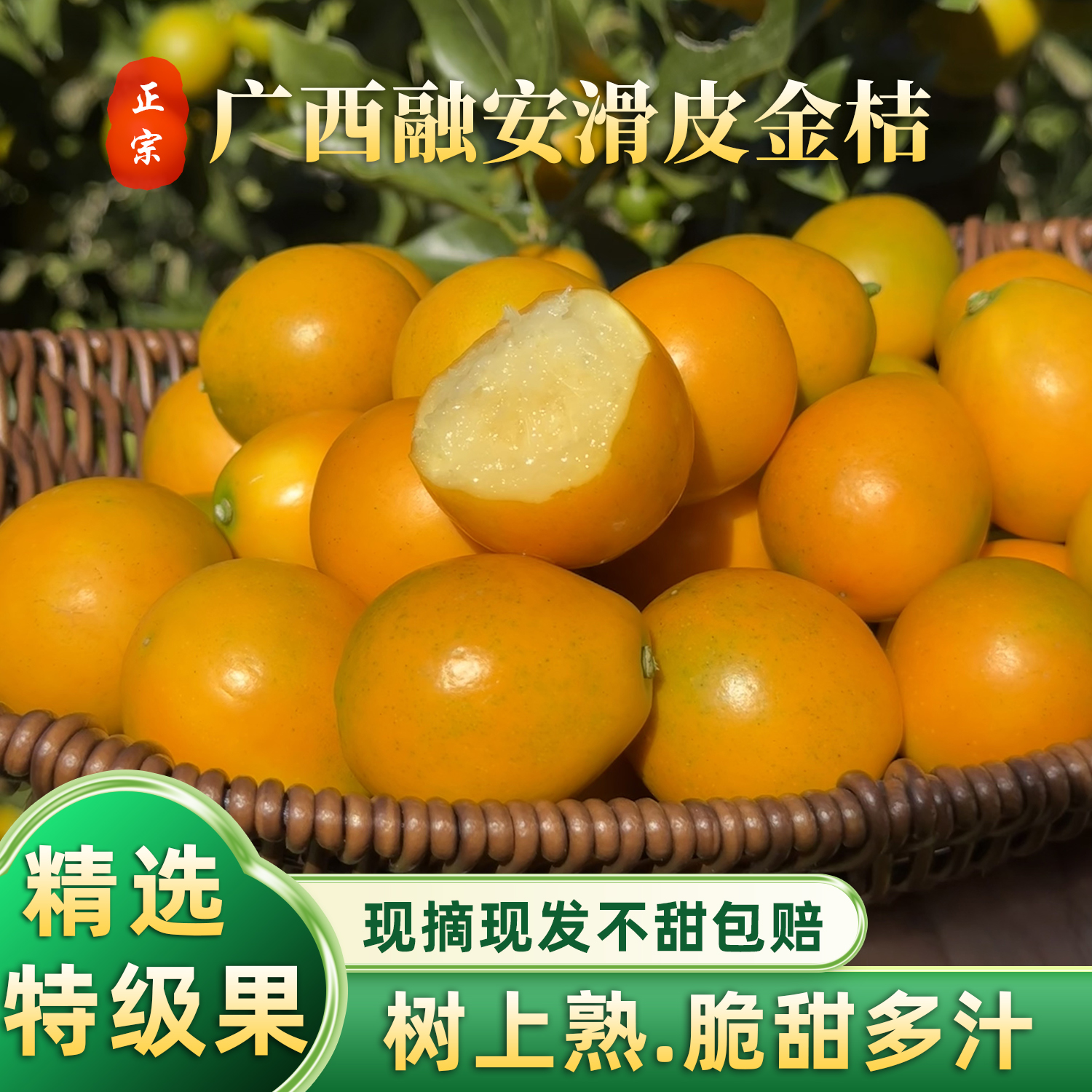 正宗广西融安金桔第二代滑皮金桔当季新鲜水果小金橘桔子整箱包邮