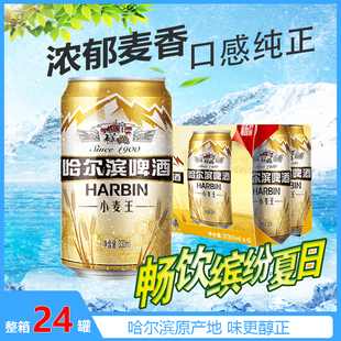 Harbin 24罐听装 小麦王 劲爽330ml 整箱 哈啤清冽醇爽 哈尔滨啤酒