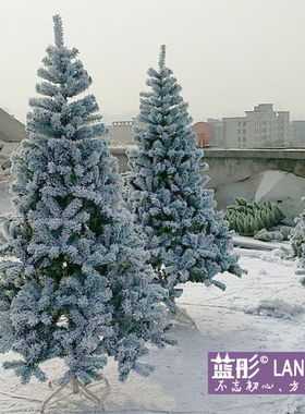 圣诞节白色仿真人造雪高档pvc雪松树1.5/2/3/4米加雪圣诞树