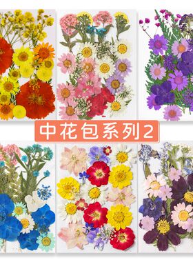 干花压花组合包 diy滴胶相框团扇押花材料包真花树叶植物标本花束