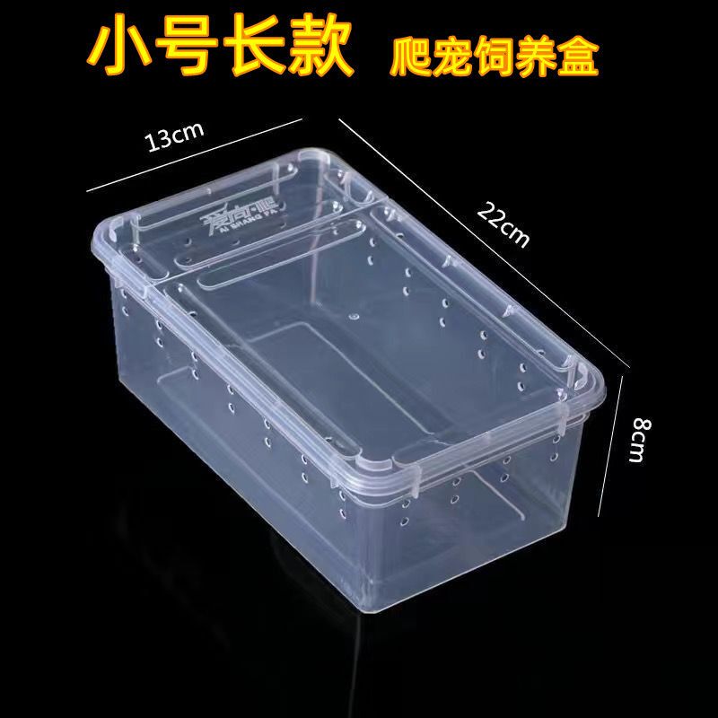 爬宠饲养盒5336341016