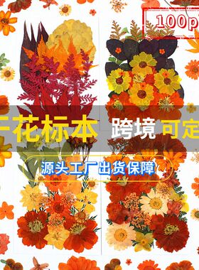 新品25pcs橙色干花压花包diy材料包压花真花植物标本树叶