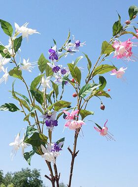 仿真花倒挂金钟吊钟花家居装饰