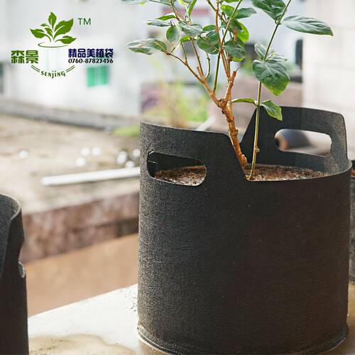 黑色无纺布美植袋种植袋育苗袋F