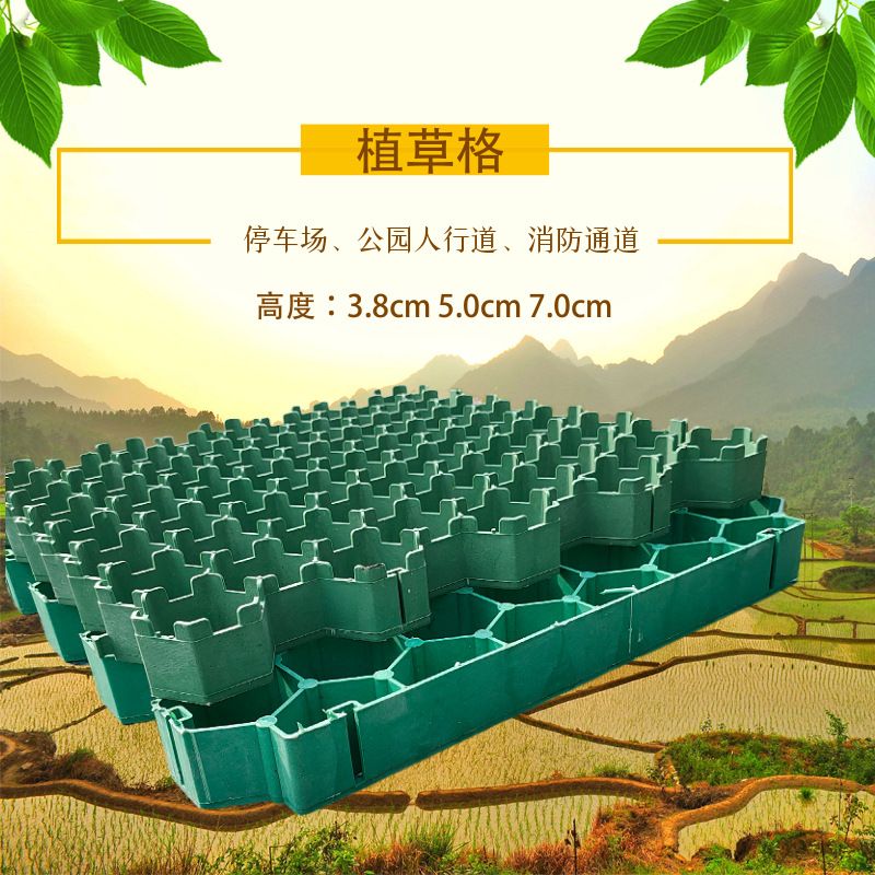 上海现货植草格塑料草坪砖