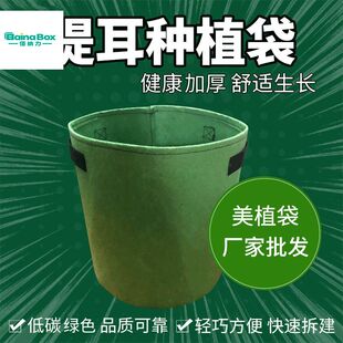 加高种植带绿化工程园艺用带环保植物袋美植袋大容量花盆自吸水