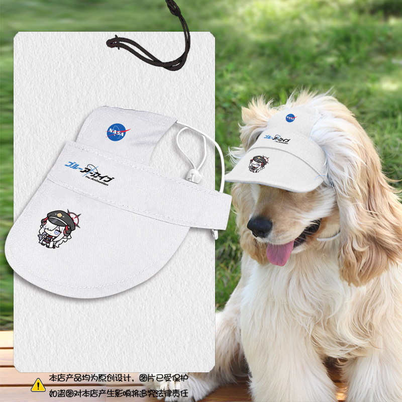 NASA联名碧蓝蔚蓝档案宠物帽子