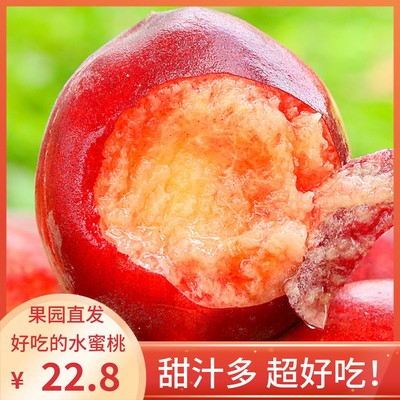 现摘桃水蜜桃10斤砀山新鲜水果