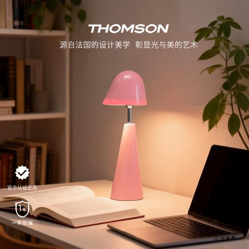 汤姆逊北欧卧室床头灯氛围台灯