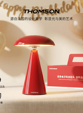 汤姆逊设计师款氛围床头台灯