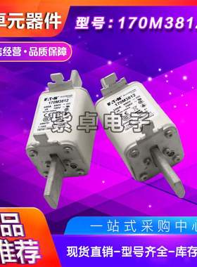 170M3812  170M3981 170M3982 170M3983 170M3984 170M3985保险丝