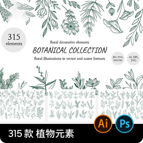 花卉植物手绘叶子花朵花边勾线描条纹线稿AI矢量图PS叠加PNG免扣