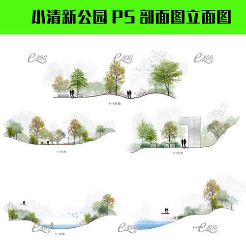小清新公园PS剖面图立面图 PSD园林景观分层植物设计素材滨水湿地