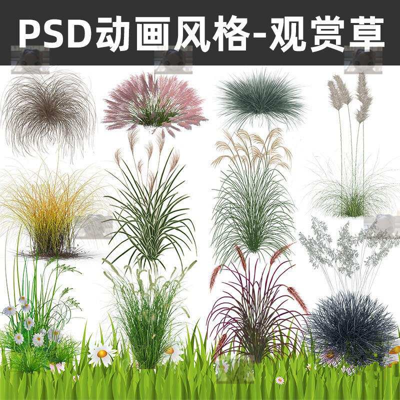 PS透明动画风格狼尾草苔血草粉黛乱子紫叶针茅芒观赏草psd素材