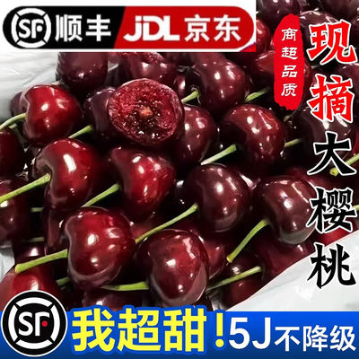 天水秦州大樱桃水果新鲜现摘国产车厘子特大当季整箱5斤孕妇水果J
