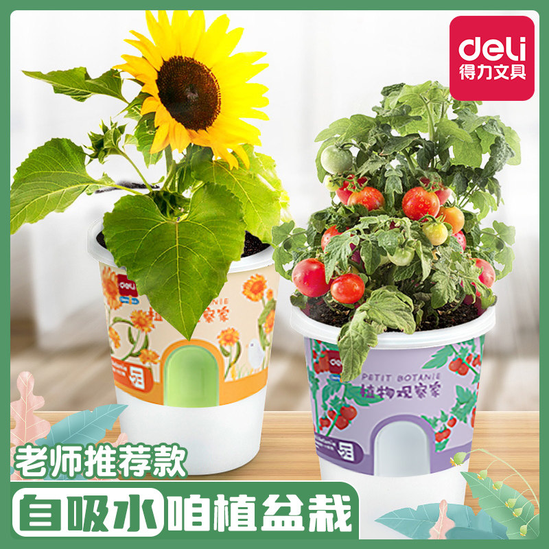得力儿童种植小盆栽植物栽培套装实验小学生教具材料植物种子生长养护栽培套装迷你花农diy创意观察绿植花卉|msdalam kategori Kamus elektronik/buku kertas elektronik/alat tulis, demonstrasi pengajaran/bekalan notis paparan, 教学标本/模型 - dari Buy2taobao.com untuk memberikan perkhidmatan ejen Taobao profesional membeli