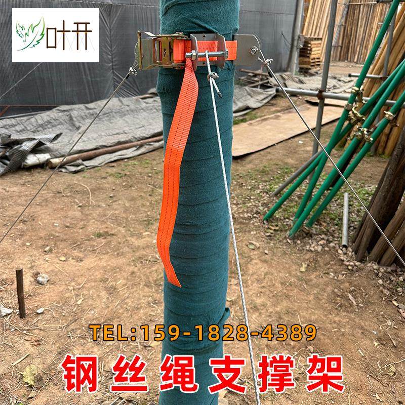 树木支撑架大树固定器园林绿化工程苗木支架钢丝绳支撑架