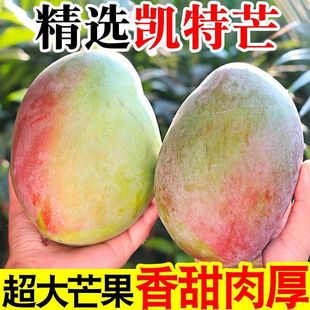 四川攀枝花青皮芒果新鲜水果当季凯特芒鲜果晚熟高山整箱包邮特大
