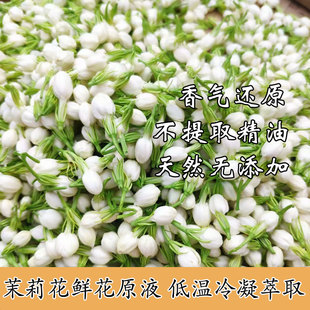 新鲜茉莉花鲜花原液细胞液纯露精油按摩精油艾草精油推拿按摩油