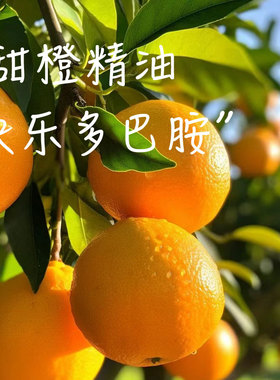 甜橙单方天然植物精油美国产舒缓心灵芳疗香薰