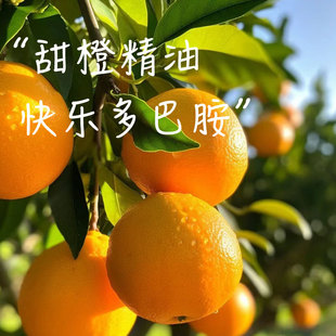 甜橙单方天然植物精油美国产舒缓心灵芳疗香薰面部按摩