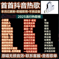 车载u盘歌曲2025新款流行抖音热门DJ歌曲无损高音质Type-C口优u盘