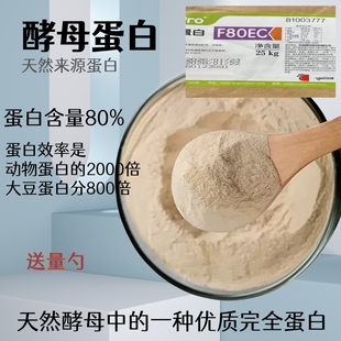 安琪酵母蛋白粉F90 F80酵母蛋白原料高蛋白质代替乳清蛋白质粉