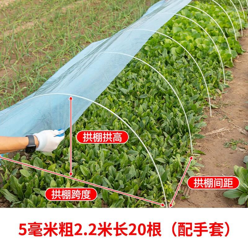 大棚骨架小拱棚支架玻璃纤维杆弹力棒温室保温地膜搭蔬菜棚支架杆