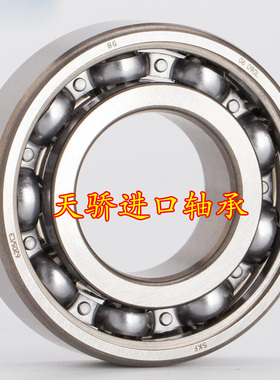 瑞典6403 6404 6405 6406 6407 6408 6409 6410 2Z 2RS1C3 轴承