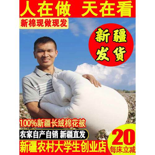 新疆直发棉花被 单人宿舍冬加厚保暖冬季纯棉冬被被子棉芯棉被芯