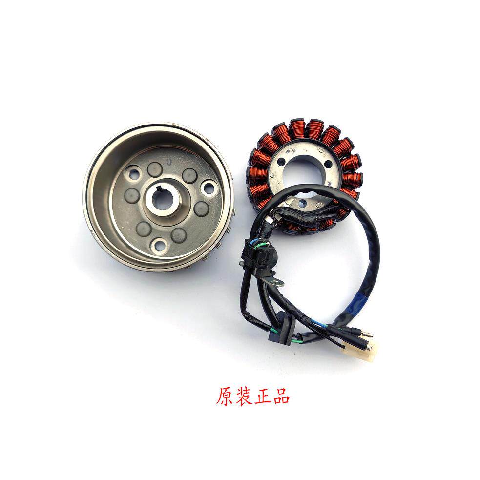 适用宗申赛科龙RT3 ZS250 大林Q3 XQ250磁电机线圈 转子 发电线圈