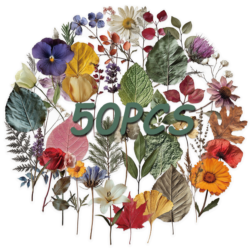 50件彩色干花叶子笔记本贴纸