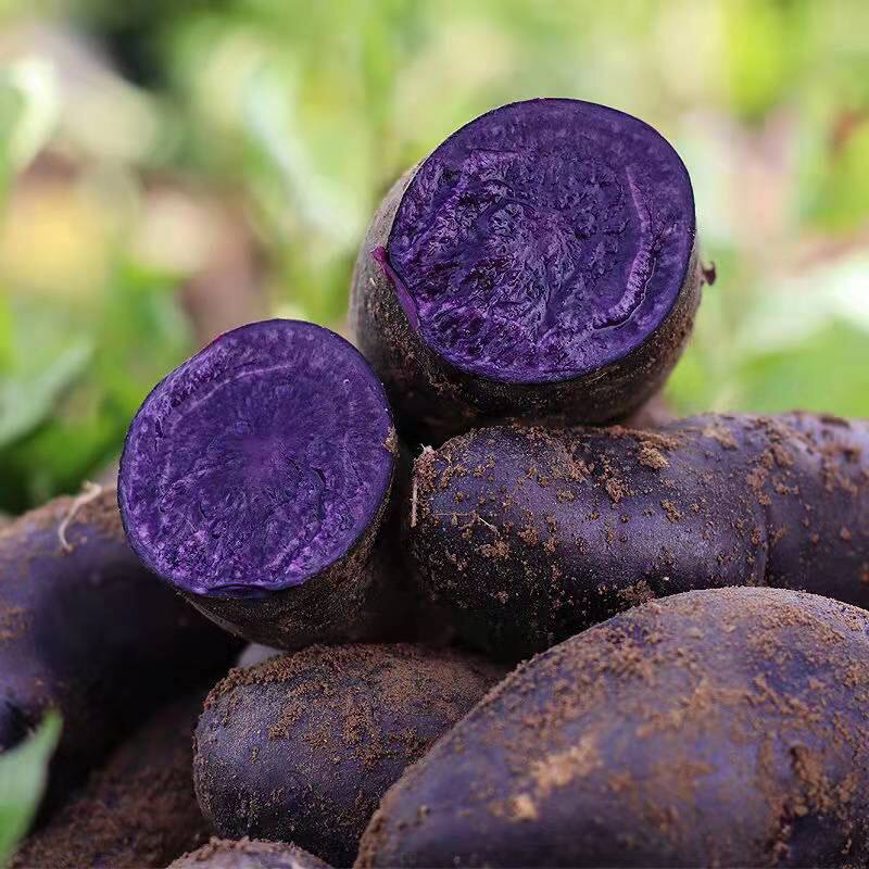 新鲜蔬菜紫土豆黑土豆紫色马铃薯原种紫色洋芋种籽马铃薯5/9斤,水产肉类/新鲜蔬果/熟食,土豆,淘宝优惠券,粉丝福利购,淘宝优惠卷