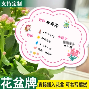 植物养护牌植物认领牌学校幼儿园植物角标识牌定制花卉盆栽绿植标记插牌可擦写标签牌植物介绍牌植物铭牌定做