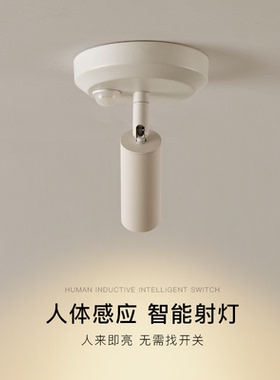过道灯人体感应灯智能射灯简约现代led吸顶灯走廊楼梯灯玄关灯具
