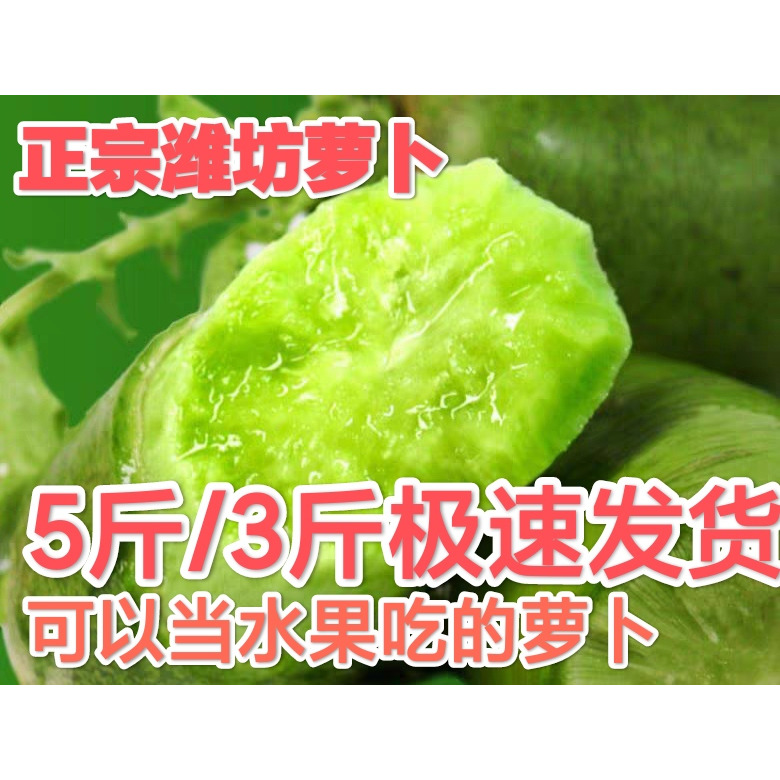 潍坊水果萝卜生吃正宗山东批发