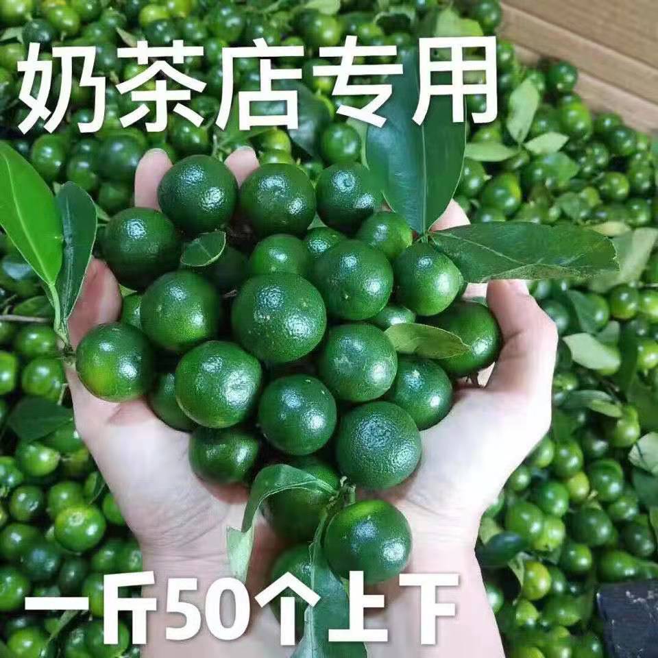 新鲜海南青金桔柠檬皮多汁奶茶店