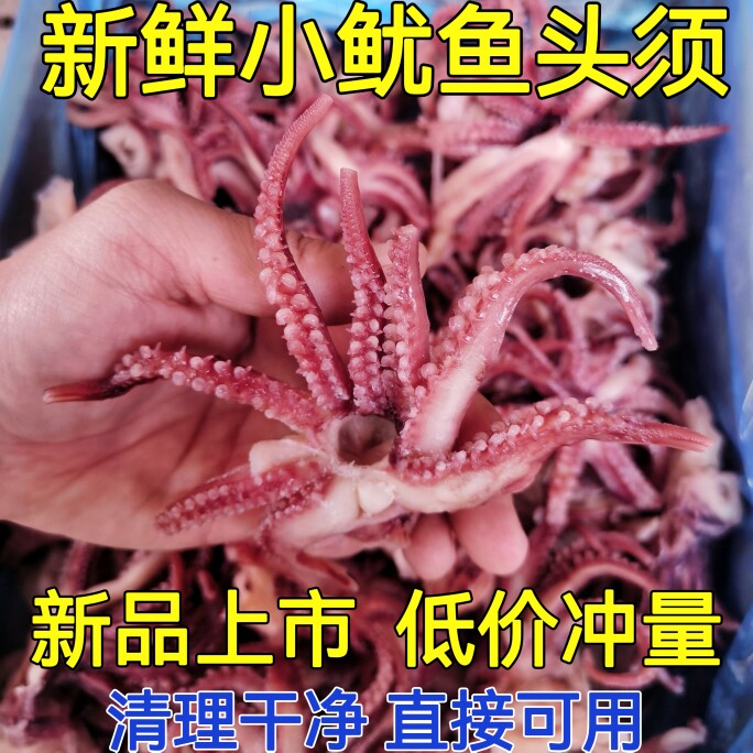 小鱿鱼须新鲜冷冻三去鱿鱼头净重无冰衣小八爪须烧烤炒菜火锅食材