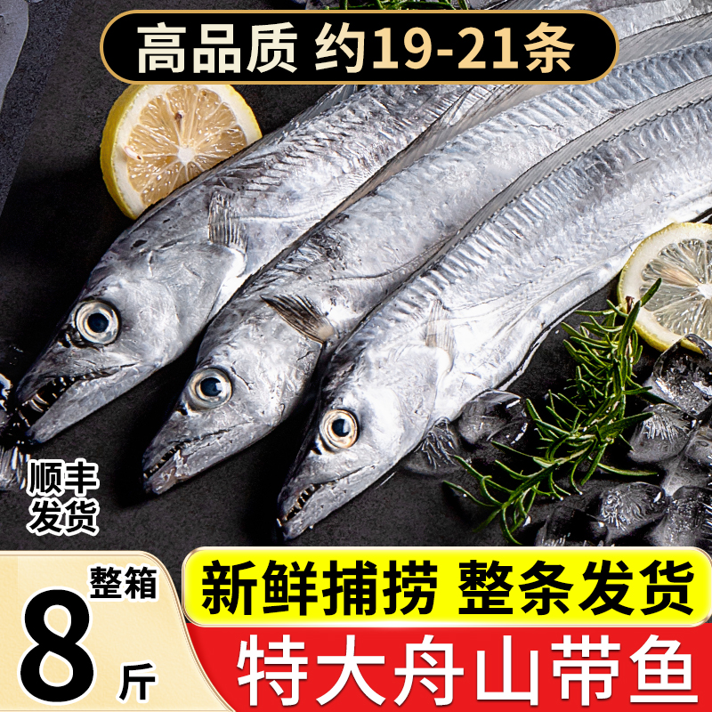 舟山小眼带鱼特大东海整条