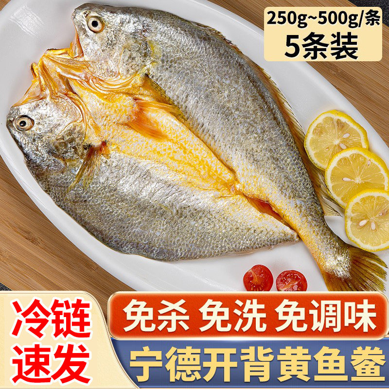 宁德黄鱼鲞5条黄花鱼新鲜冷冻小黄鱼海鲜生鲜大黄鱼免杀免洗商用
