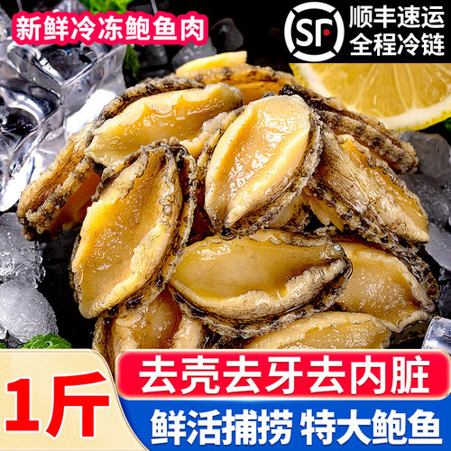 新鲜冷冻大鲍鱼肉500g