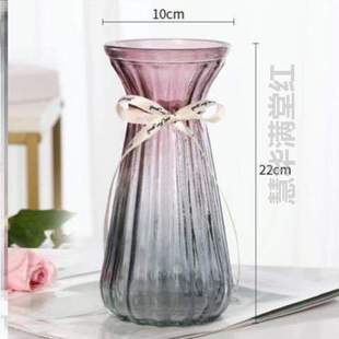 透明水养两件套插花瓶摆玻璃客厅家用花瓶花瓶 富贵竹特大号