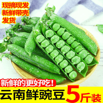 云南高原甜豌豆荚新鲜农家蔬菜带壳青豆荷兰脆嫩甜豆角现摘包邮