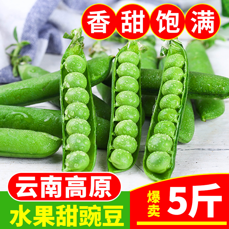 云南新鲜甜豌豆荚5斤装带壳青豆应当季蔬菜豌豆粒农家整箱包邮