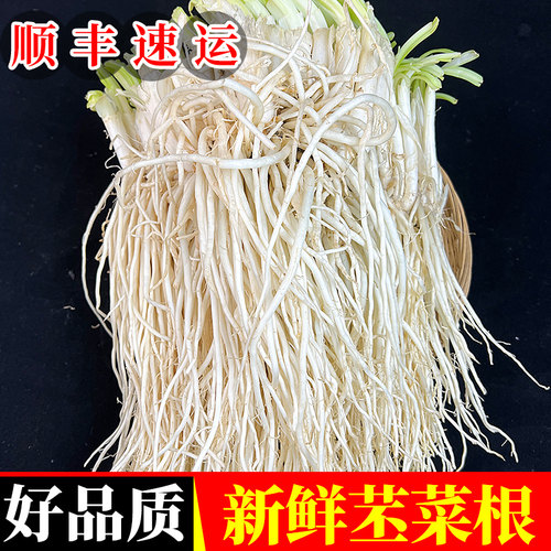 云南新鲜苤菜根新鲜现挖