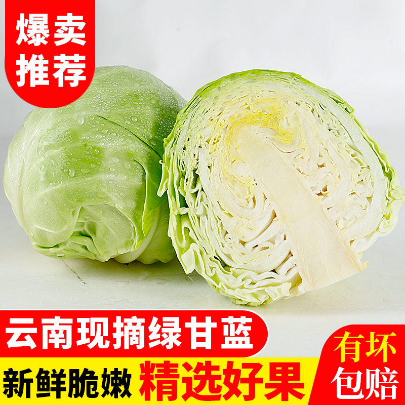 云南新鲜莲花白现摘发货