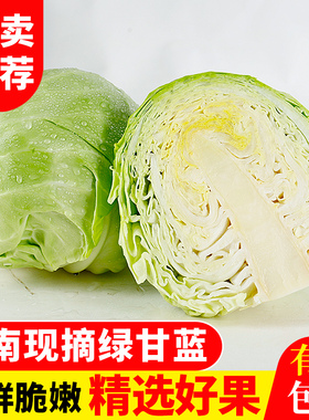 云南新鲜莲花白卷心菜蔬菜现砍农家绿甘蓝圆包菜脆甜可口净重3斤