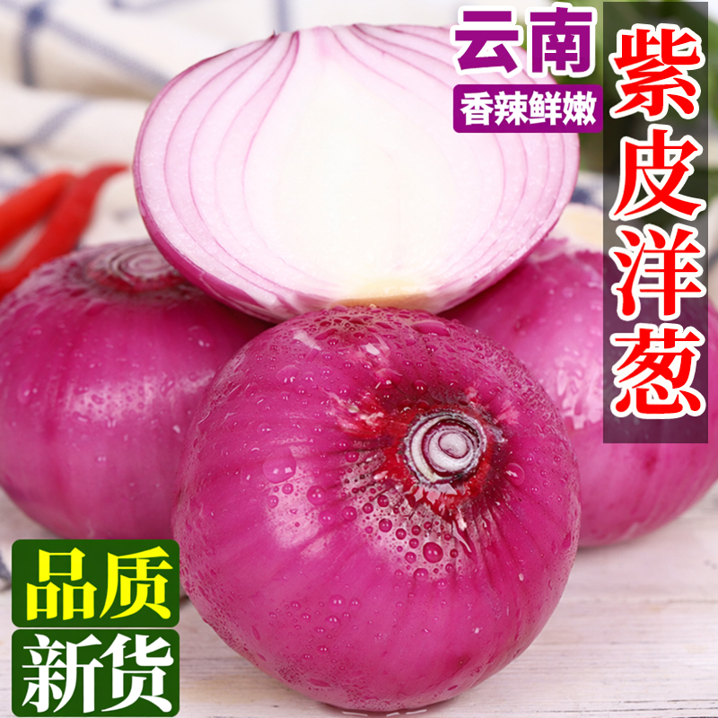 云南紫皮洋葱新鲜红皮圆葱大葱头农家自种当季现挖蔬菜红洋葱包邮